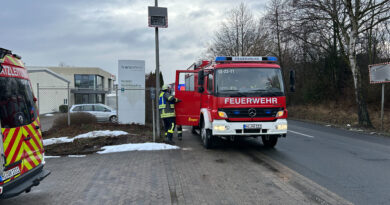 10. Einsatz: „B-BMA (ausgelöste Brandmeldeanlage)“ 10. Einsatz: „B-BMA (ausgelöste Brandmeldeanlage)“