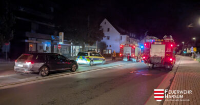 31. Einsatz: „B2 – Rauchentwicklung“ 31. Einsatz: „B2 – Rauchentwicklung“