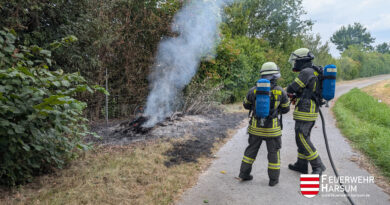 52. Einsatz: „B1 – Hecke“ 52. Einsatz: „B1 – Hecke“
